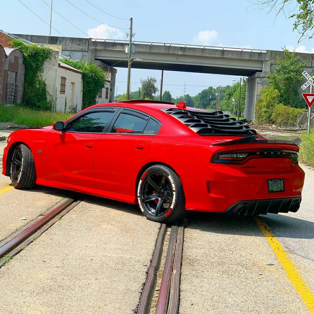 KooksHeaders's tweet photo. Gotta start the week off right with #moparmonday! Check out this #kooksequipped Scat Pack 392 from @redrumblebee392 .... coming in with the ๐ฅ
๐ธ : @redrumblebee392
Equipped with Kooks long tube headers
#getkookin'๐ฅ #Kooksheaders #getkookingwithkooks #KooksEquiped #MOPAR https://t.co/LaWk3TZVvO