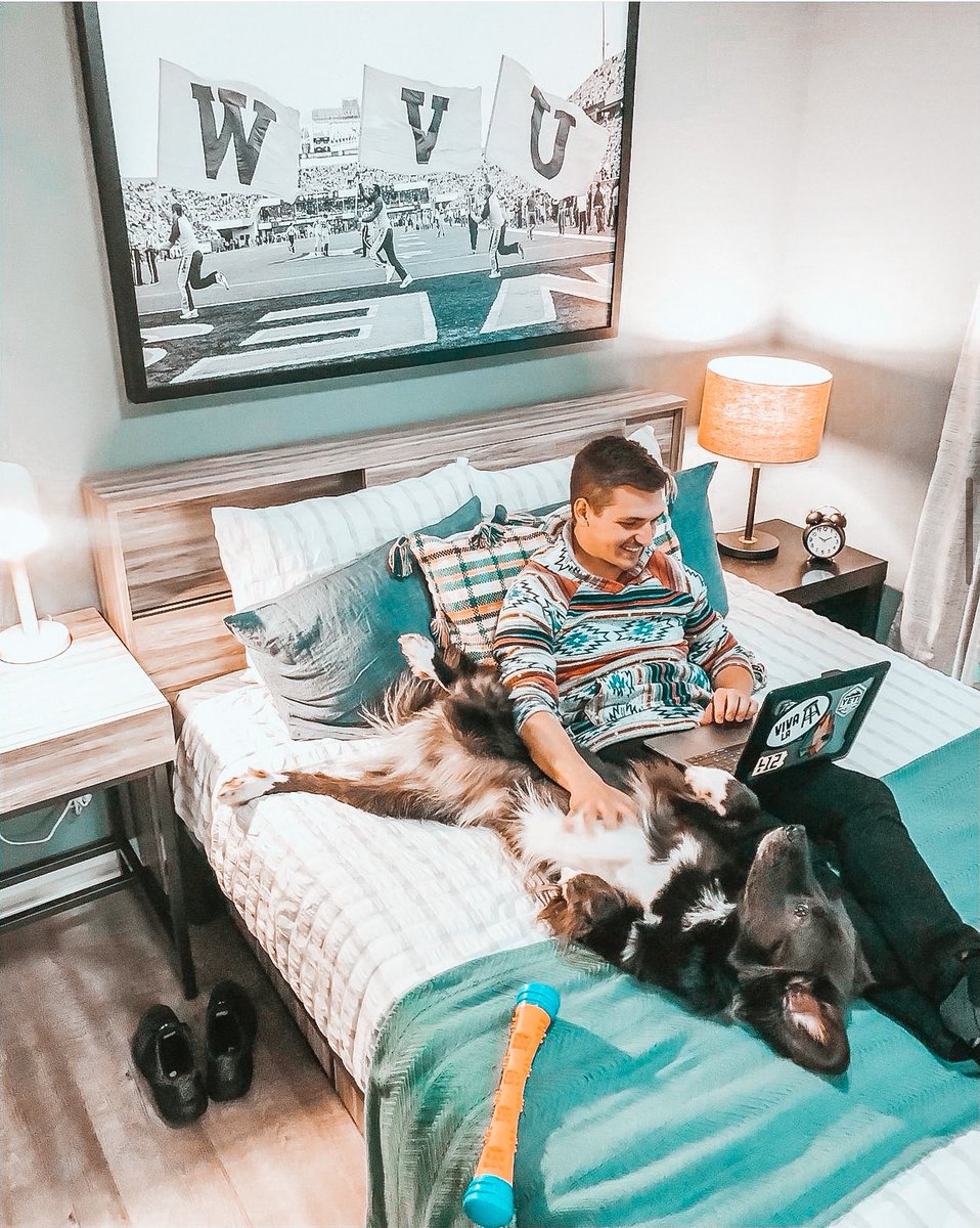 DomainTC's tweet image. Applying @ Domain is as easy as completing everything from the comfort of your own home!  🏡 Our specials have been extended for an additional 2️⃣4️⃣ hours! ⏳Click the link in our bio to start your application &amp;amp; get up to $125 off rent NOW! 📲

#DomainTC #LiveDomain