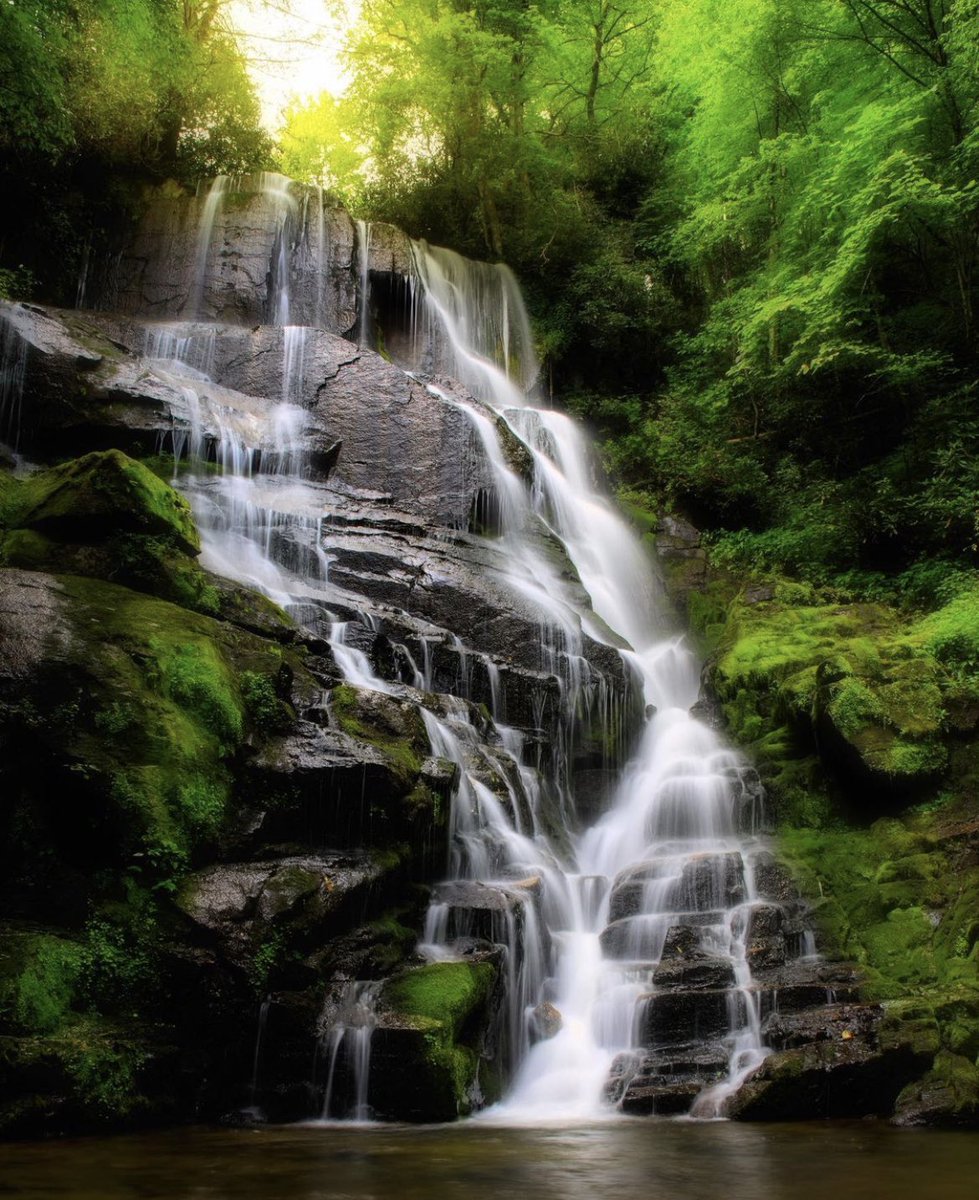 AppalachianAdv's tweet photo. A beautiful capture by our very own @JPotterPhoto!

#AppalachianAG | @VisitNC https://t.co/4ZiRmLAWf6