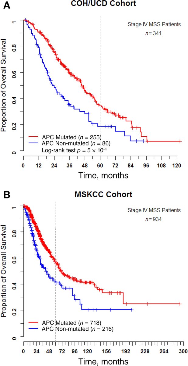 OncJournal's tweet photo. Wild‐type APC Is Associated with Poor Survival in Metastatic Microsatellite Stable Colorectal Cancer
#MetastaticColorectalCancer #mCRC #MicrosatelliteStable #Prognostic #WntSignaling
https://t.co/zoOUbcizuu https://t.co/VopRWb9UNA