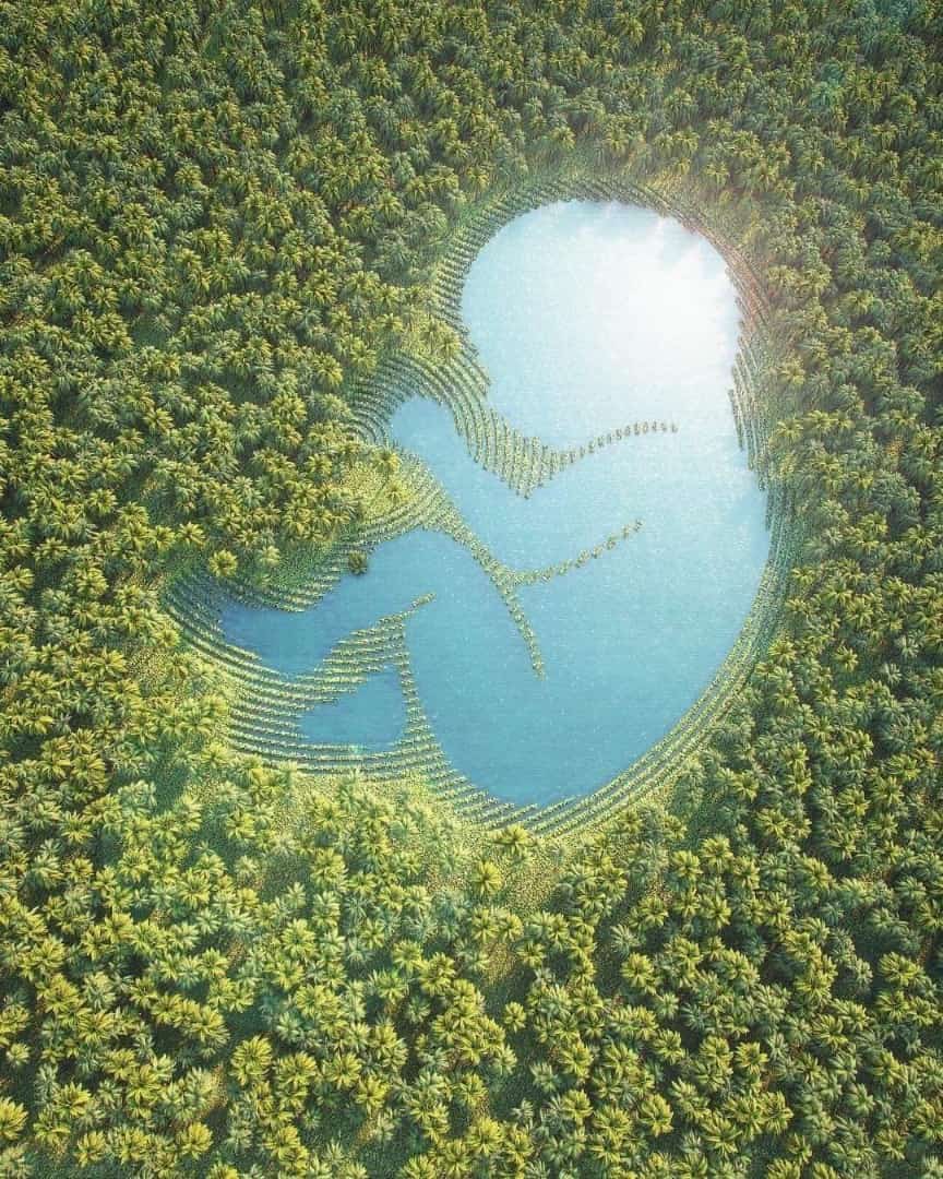 MarthaCecilia tweet media