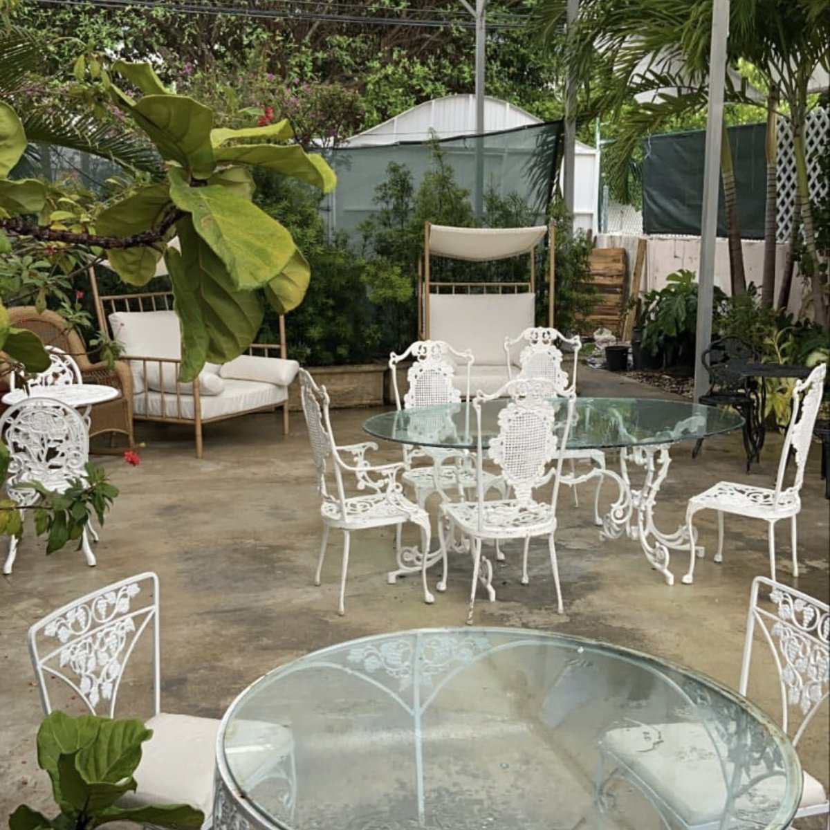 loookatmeimkiad's tweet photo. i opened my garden cafe and you should totally stop by 🌿🌸✨ located at the alton road nurseries in south beach miami! opened everyday!! https://t.co/9WO7Men4N1