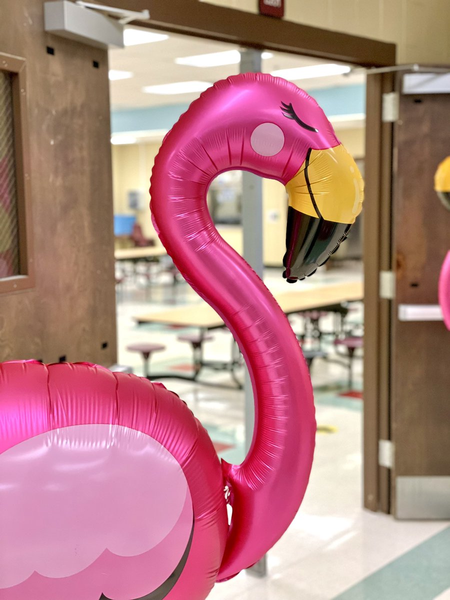 joslin_maxwell's tweet photo. The best 1st day today & feeling SO proud to be a member of the Timber Ridge flock! Our administration & PTA went all out for the staff…we are so lucky & appreciative! 🦩🌟💖@CCSDCounseling @trwolfpack #OurFlockRocks https://t.co/RGb4ETKAra