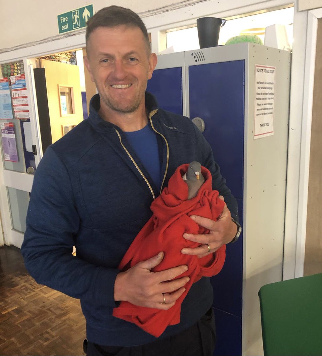 When Percival the pigeon flew into school on our INSET day and Mr Parr came to the rescue! Think he was after our <a href="/TheGoodCatch/">The Good Catch</a> fish and chips! The pigeon that is, not Mr Parr! 🤣🐦👏🏼We had already ordered lunch for Mr Parr too!