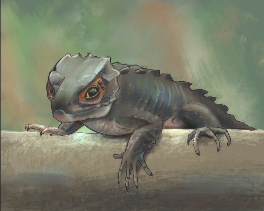 JoriRocks's tweet photo. did you know that crocodile skinks are just baby dragons? It's true, I'm a dragon expert, trust me

#speedpaint #dailypaint #sketchbook #skink #crocodileskink #animalart #animalillustration https://t.co/cBbza3TzhK
