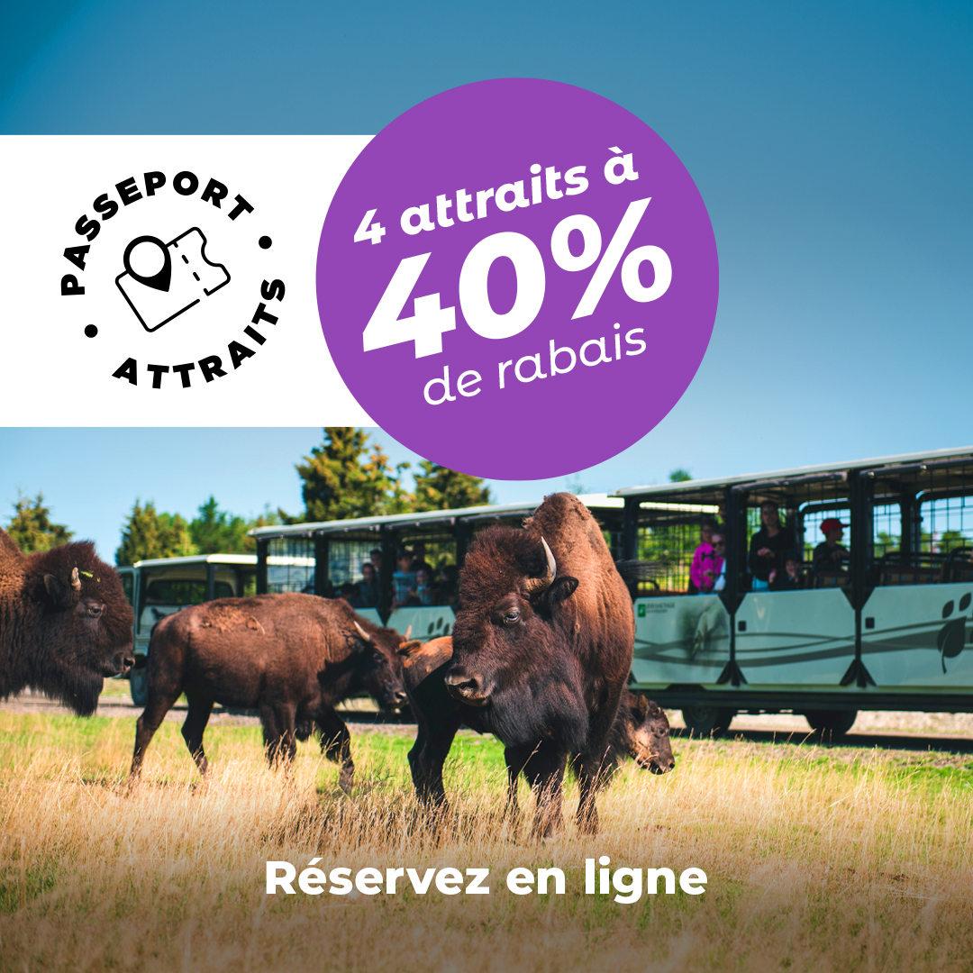 Bonne nouvelle, la vente des Passeports Attraits se poursuit!
N’oubliez pas! Les Passeports Attraits du Zoo vous offrent 40% de rabais sur votre entrée au Zoo et dans 3 autres attraits touristiques.
Découvrez les 5 Passeports Attraits offerts par le Zoo : zoosauvage.org/passeport-attr…