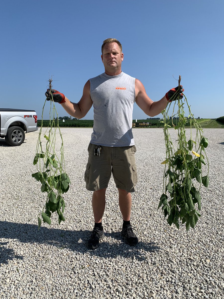 Bean_Dork's tweet photo. Easiest question you’ll be asked all week. Which plant do you want? Same variety, same row width(30”)same population drop(110k) &amp;  same management. What’s different? The plant in my right hand is from April 27 planting date. The plant in my left is my ultra early planting trial. https://t.co/XTbYq9wqtX