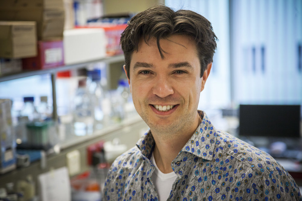 celltherapynews's tweet photo. New in @BMTjournal: A study led by Dr. Stefan Nierkens (@S_Nierkens) at @UMCUtrecht has found that transplantation of adolescent and adult patients with omidubicel (nicotinamide-expanded cord blood) results in full and broad immune reconstitution. 

📌 https://t.co/aLYGbmzUIB https://t.co/dnENcTtZMP