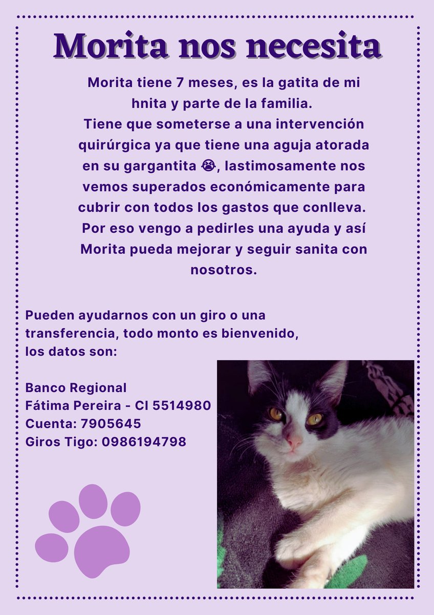 fatiiper's tweet photo. HOLA! Gente, hoy vengo a pedirles porfa porfa una ayuda, Morita💜 es la luz en casa y nos necesita, sabemos que no es un buen momento para todos pero toda ayuda suma 🥺 😭

RT PORFA🙏🏽😭 https://t.co/hT04b2XHAZ
