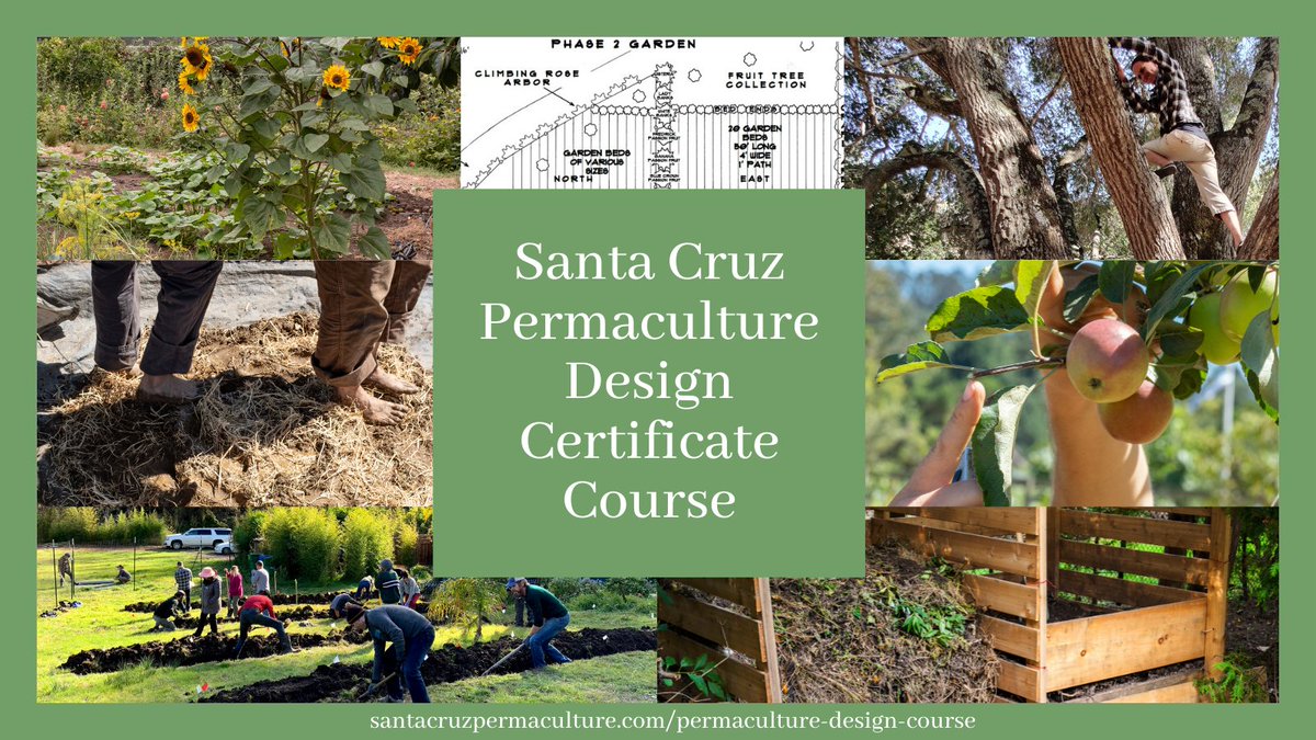 Last chance for Super Early Bird Savings of $200! Don't forget sign up for our fall/winter Permaculture Design Course by Sunday, August 1st. #permaculturedesigncourse #SantaCruz #permacultureinaction