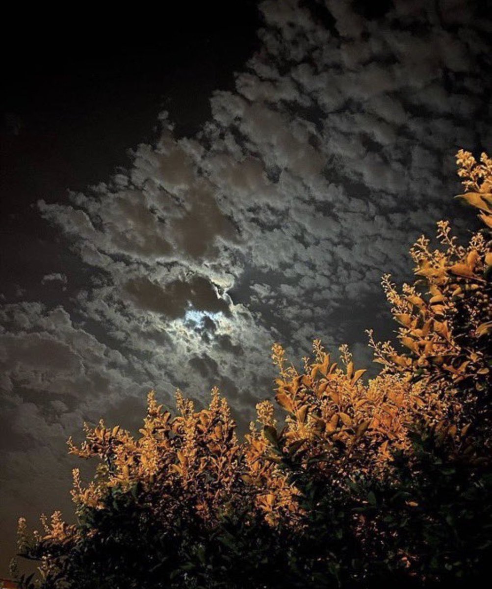 يوم انها تلبَس الاسود ، كنها ضمه الليل 
والبلا انها تشرق مثل القِمر فوق السحاب🖤.

 #اكتب_تغريده_الان_لمن_تحب