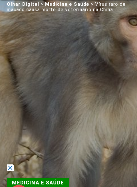 BlogDoTato67's tweet photo. Apesar de grave e incomum, o vírus tem baixa transmissibilidade. 

Neste caso específico ocorrido na China, nenhum dos assistentes próximos ao veterinário testou positivo para o #MonkeyB, o que denota que a chance de ocorrer um surto da doença é praticamente nula.
📰OlharDigital https://t.co/g7pzIoj6Iz