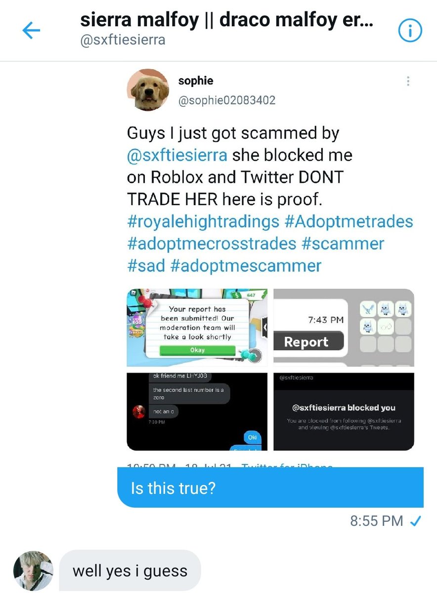 flashhud's tweet photo. Was able to confirm that my friend (not any more) @sxftiesierra is a scammer, who scammed others. I am really upset of his excuse of "getting hacked", like "two wrongs don't make a right". Just because you got scammed, doesn't mean you can scam others. https://t.co/vIW5h2SWIX