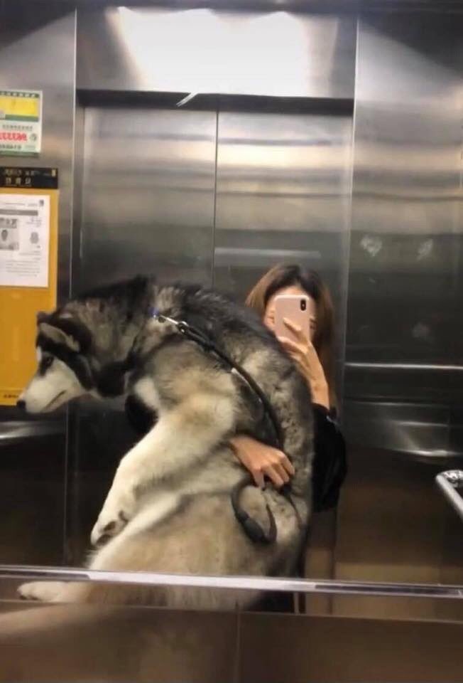 flanti (@flantasma) on Twitter photo 