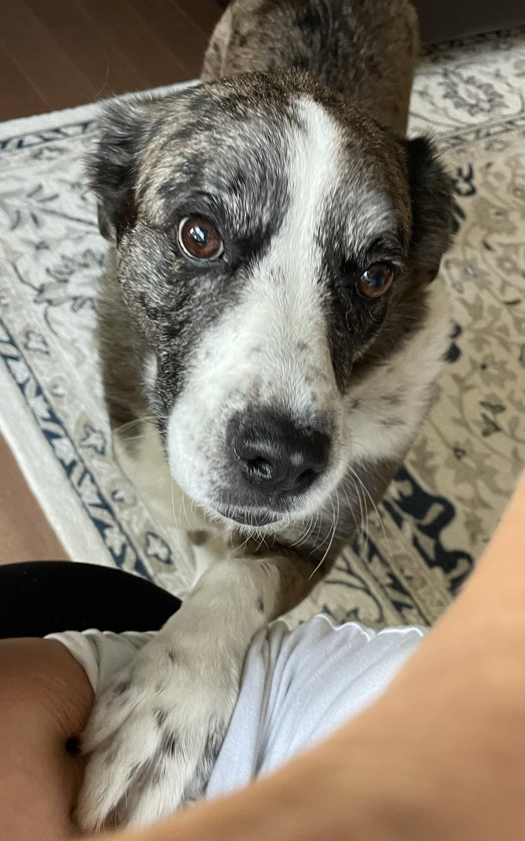 6:19 pm - this gal was DONE with me working.