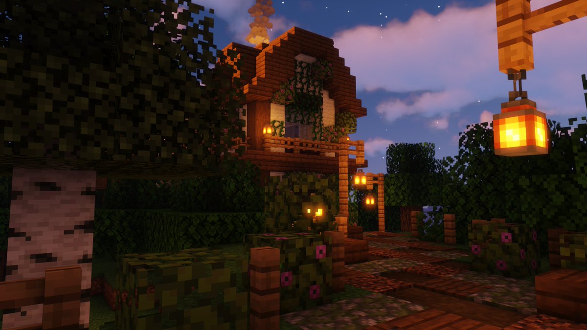 enzo sensitized tweet media