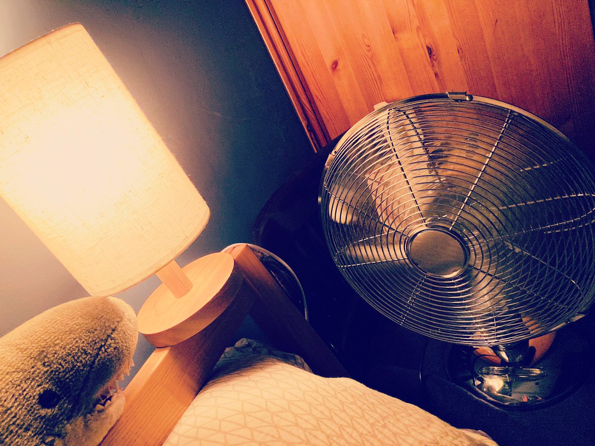 I bought a fan today. OMG. It’s really rather wonderful.
