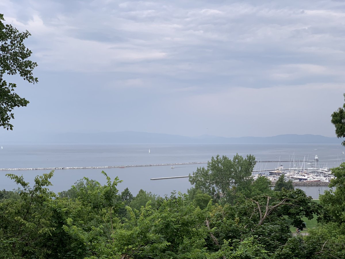 Stephen Siciliano tweet media