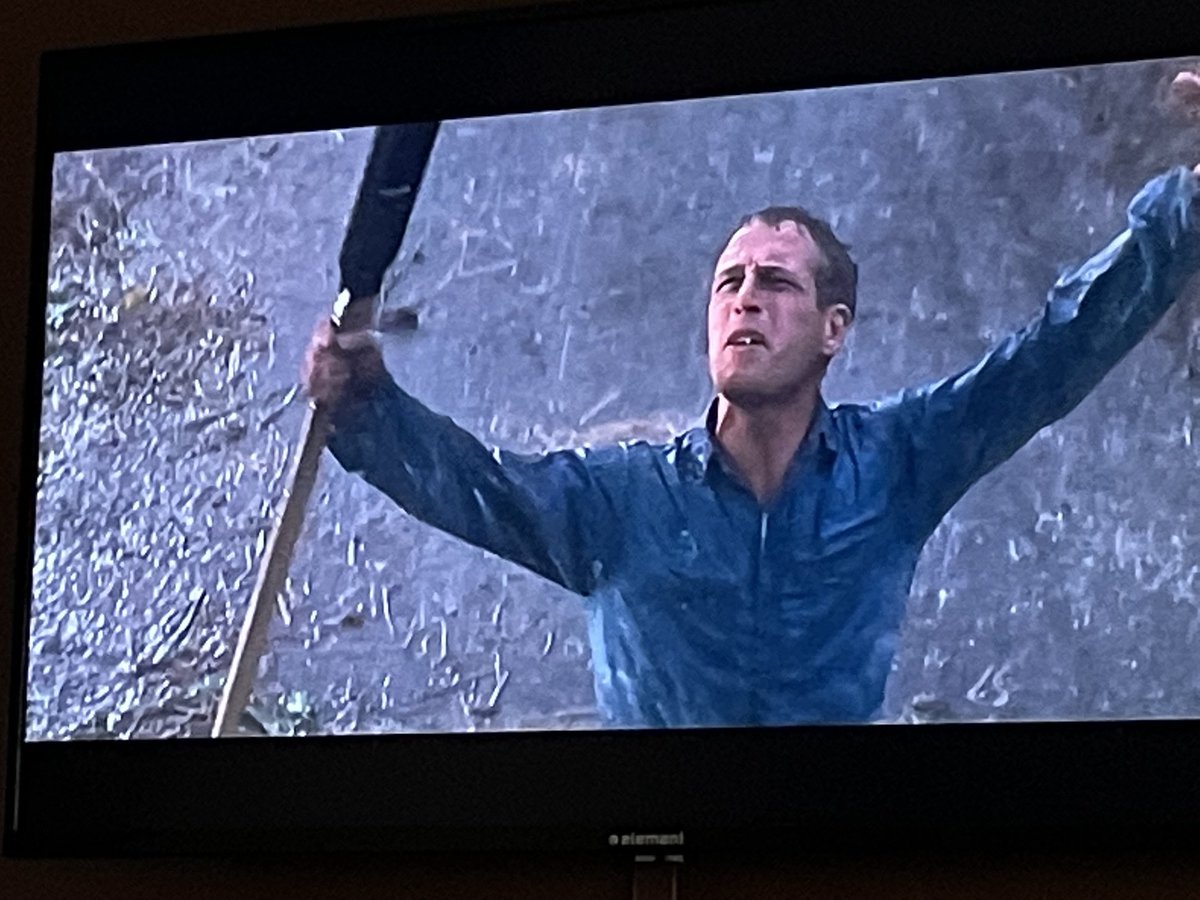 MPADKINS's tweet image. I’ll watch Cool Hand Luke every single time I find it! Mondays aren’t usually this fruitful. #50eggs #failuretocommunicate