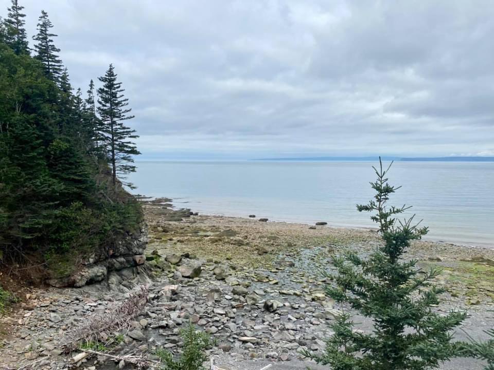 cbmaritime's tweet photo. Trip to the Valley today to see a couple of quaint little cottages. Not a bad view from your bedroom window and your own private beach! 🌊⛱

#HaliPad #NicePad #CottageLife https://t.co/cNCHoHL822