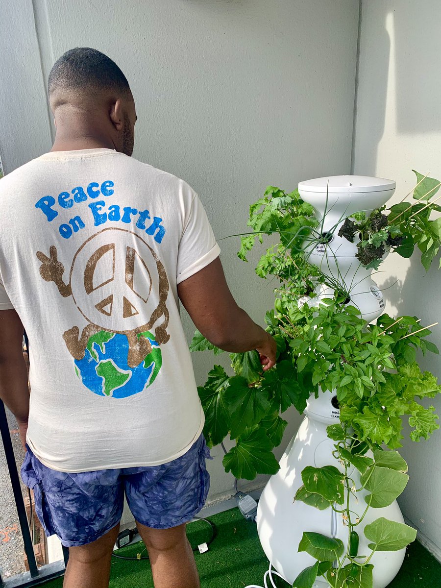 flexeatss's tweet photo. Did you know 5,000 plant species are going extinct way faster than they should due to climate change? My @lettucegrow pot allows me to be in control of what I’m growing &amp; when! Save the earth &amp; grow your own veggies 🌱🤟🏽

#flexeatss https://t.co/DTGeH1jOG6
