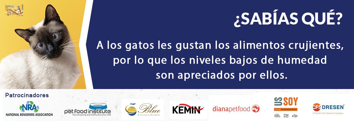 FOROMASCOTASMX's tweet image. Los alimentos para #mascotas deben de contar con personalidad propia, lo cual no se basa solamente en el nicho de mercado, sino además, en el tipo de mascota para la cual fueron diseñados. ☑️🐱