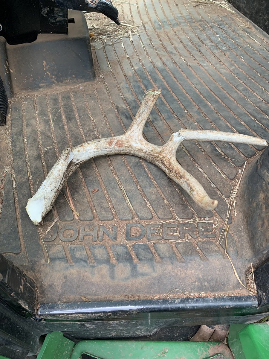 CoreyHolman1's tweet photo. Hayfield find of the day! Just glad it wasn’t in a tire https://t.co/ntvSZWbkPz