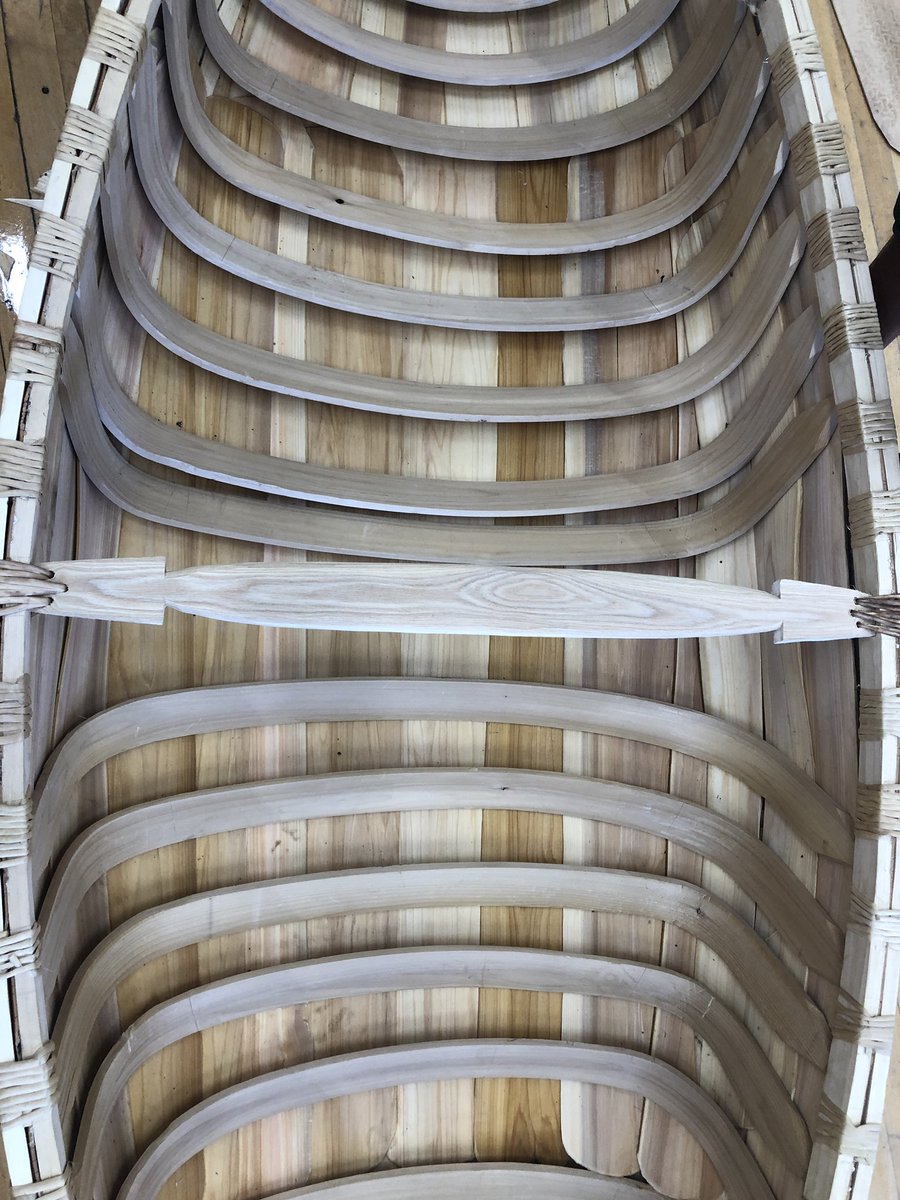 clclyne's tweet photo. Week 2 Paper thin cedar strips, ribs partway in til they dry. A visit from CTV #canoebuild https://t.co/muGbb0r3yq