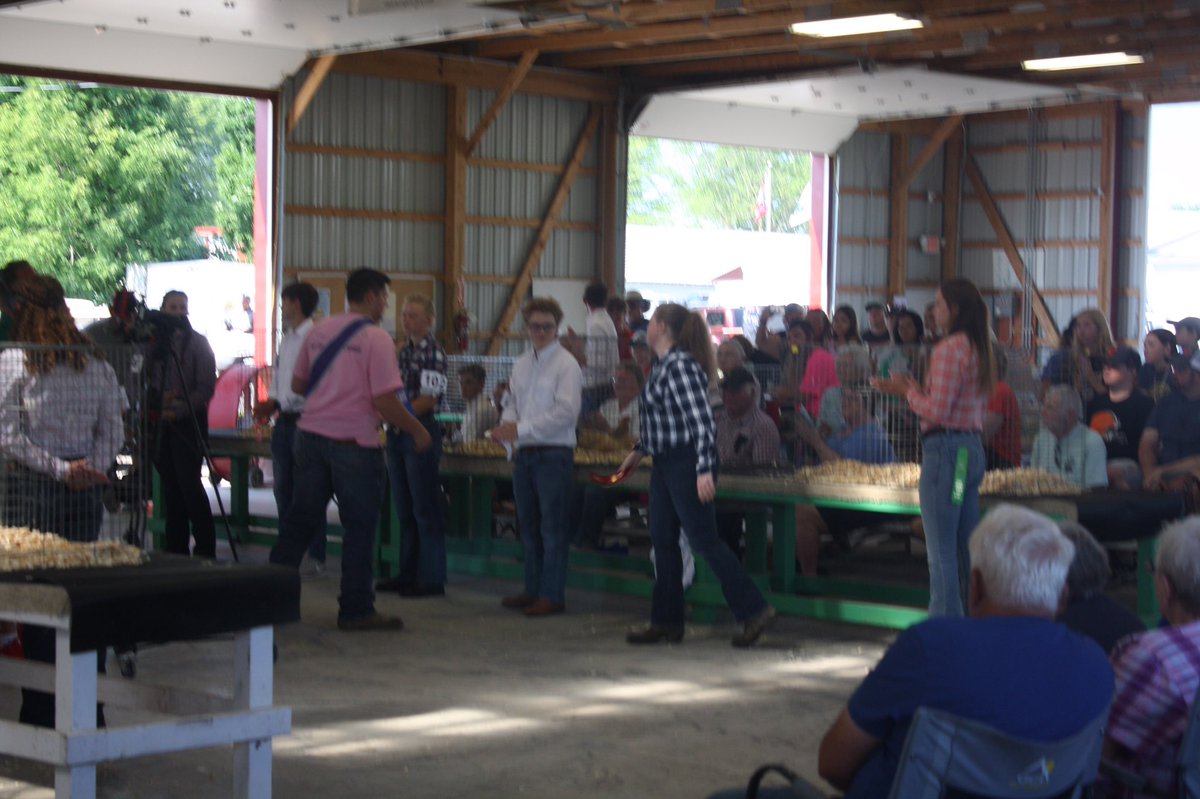 MarysvilleOHFFA's tweet photo. Union County Fair Day 2! 

Opening ceremony and a few photos from the Chicken Showmen Ship. 

Way to go members!

#FFA #PTBM #unioncountyfair https://t.co/GfQYi2ZzTT