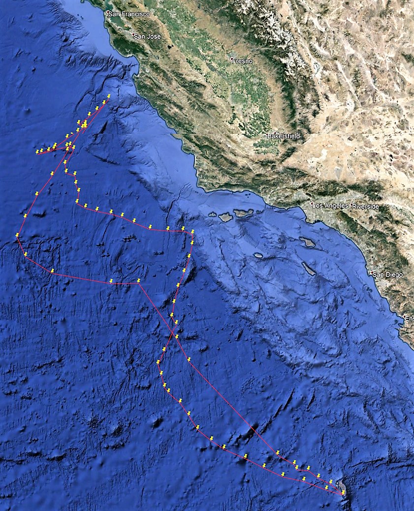 Seabird Ecology Lab (@seabirdecology) on Twitter photo Check out this incubation trip from Townsend's #stormpetrels. It reached >900km from Guadalupe in just one week, nearly reaching San Francisco! To our knowledge this is the longest foraging trip ever recorded for a storm-petrel sps💪#Hydrobates #seabirds <a href="/IslasGECI/">Conservación Islas</a> @NeoBirdClub Check out this incubation trip from Townsend's #stormpetrels. It reached >900km from Guadalupe in just one week, nearly reaching San Francisco! To our knowledge this is the longest foraging trip ever recorded for a storm-petrel sps💪#Hydrobates #seabirds <a href="/IslasGECI/">Conservación Islas</a> @NeoBirdClub