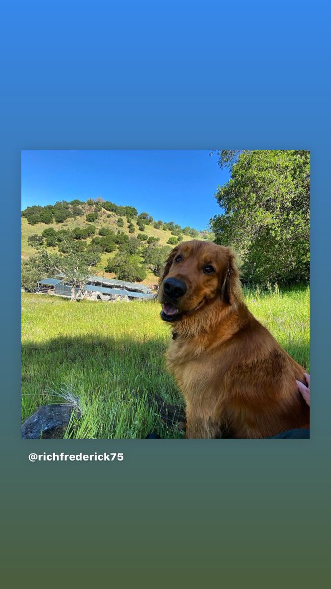 Meet Joe who recently celebrated his 4th birthday. Joe’s job is to walk the vineyards each morning <a href="/VineCliffWine/">Vine Cliff Winery</a> with his pal #Winemaker @richfrederick75 #dogdaysofsummer #winerydog #napavalley