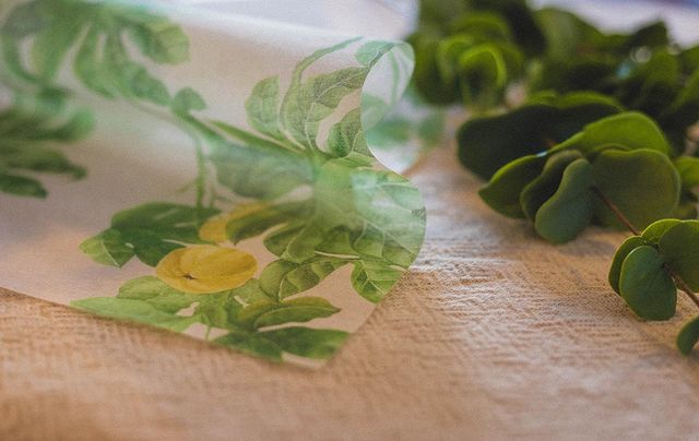 SpaceTailor_'s tweet photo. Space Tailor's hand-drawn designs can be printed on self-adhesive fabric films like Veilish and Floorappeal and used as an interior decoration.
Design: Curious Plant VL3072N
https://t.co/MyuA7AHrcG
#spacetailor #veilish #windowfilm #wallpaper #interior #interiordesign #printerior https://t.co/aK43rz6hWR