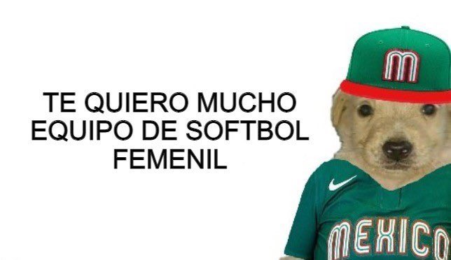 politécnico (@polituitts) on Twitter photo 