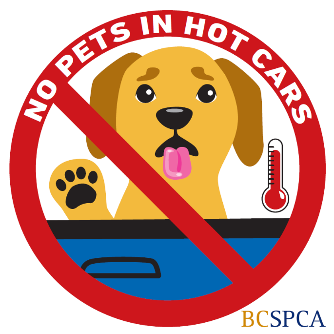 TristahxFreebie's tweet image. Get your free BC SPCA Decals!
Available to all of Canada
@BC_SPCA

spca.bc.ca/ways-to-help/t…

#canadianfreebies #freestuffcanada #freesamplescanada #canadianfreesamples #canadianfreestuff #bcspca #spca #freedecal #nohotpets
