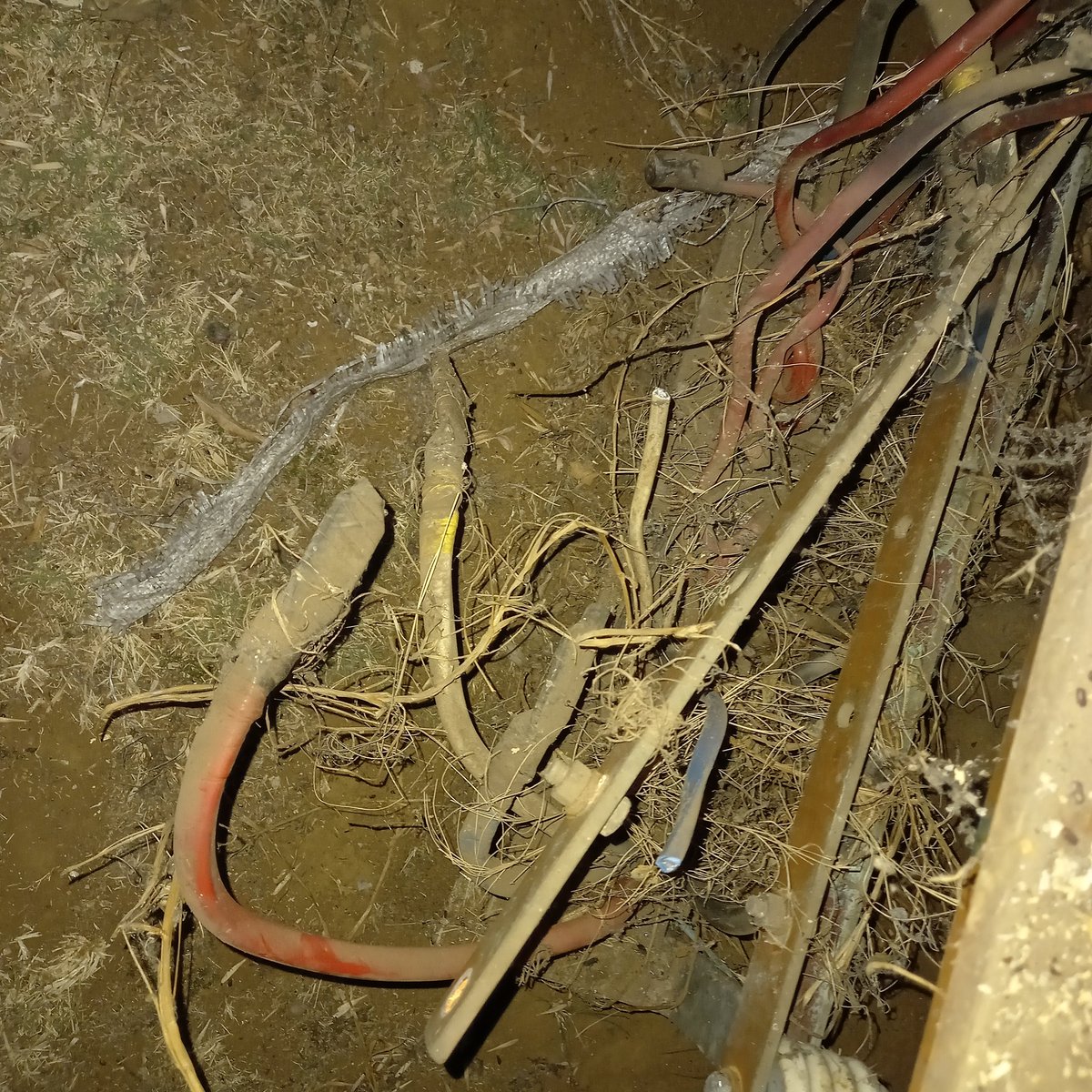 osstoltz's tweet photo. @CoE_Call_Centre - Powerbox looted in Linda Ave, houses without power due to busbars and breakers looted. Please log call and provide reference. https://t.co/VARqyBz1Oj