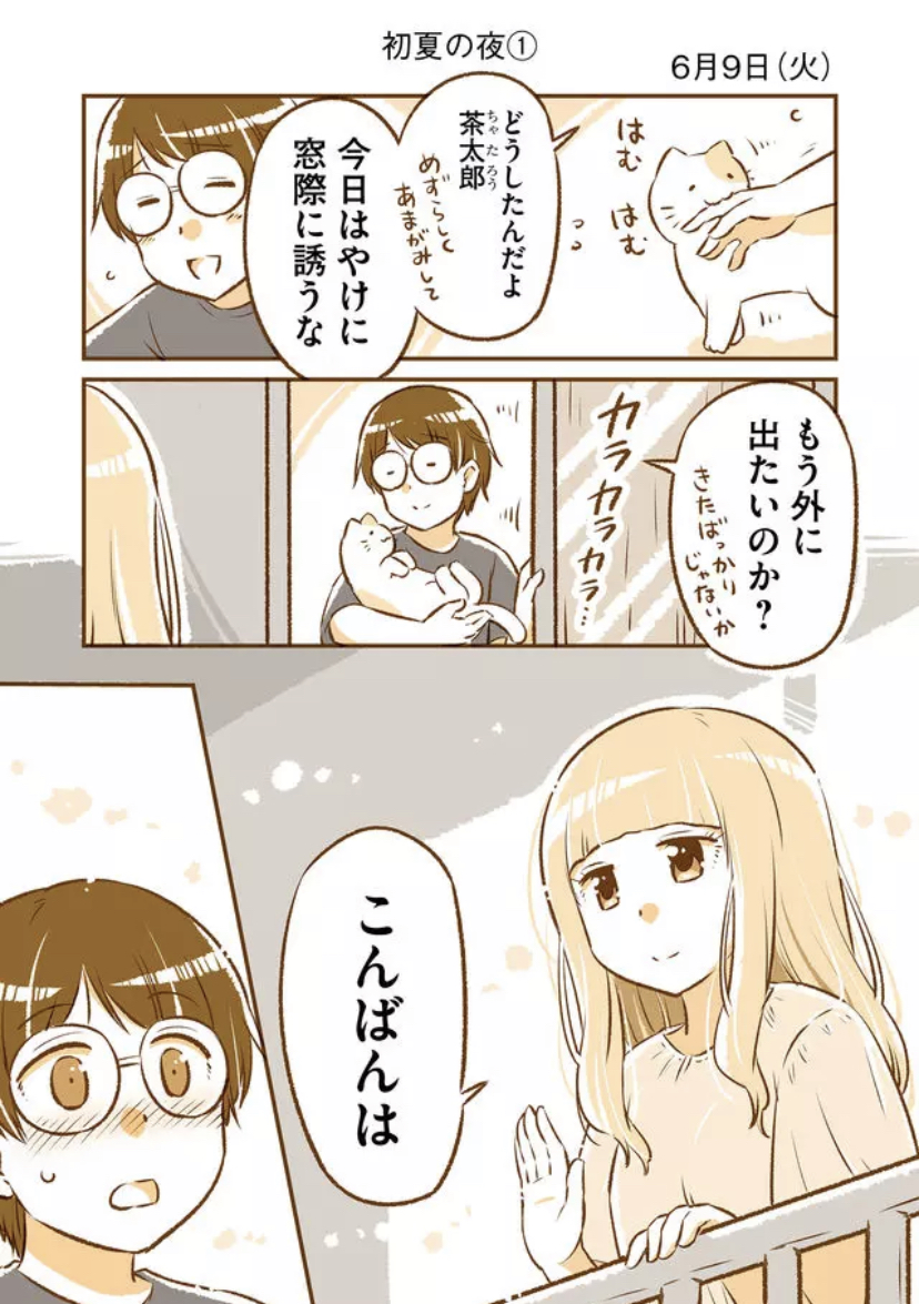 初夏の夜 