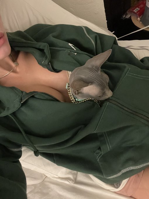 naked kangaroo https://t.co/SKnY4qtfNR