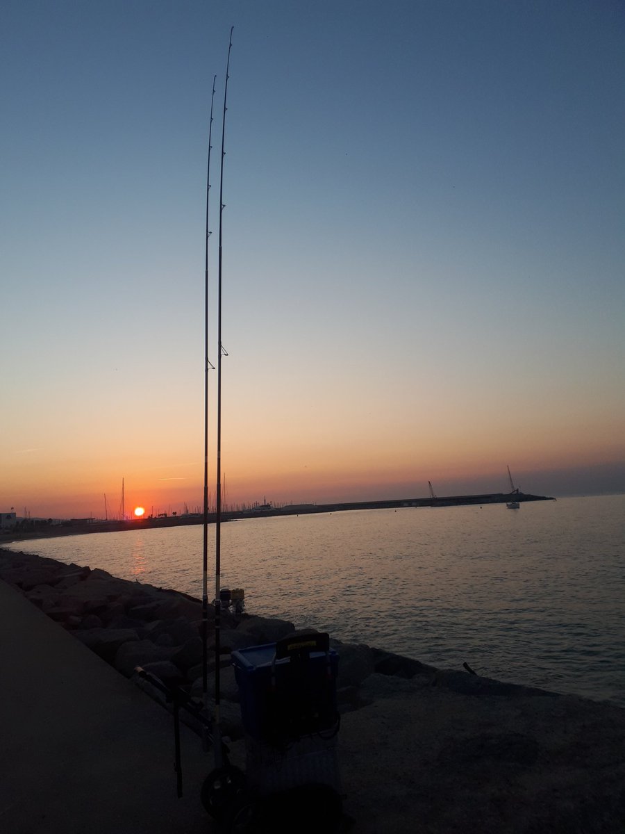 MosqueterosS's tweet photo. Un bonito amanecer y las cañas en el agua https://t.co/JVk7rTqm6W