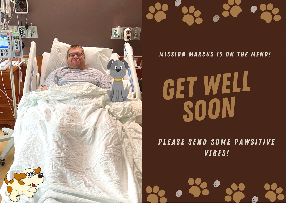 Mission_Marcus's tweet photo. Happy Monday Everyone 🐶 Sorry we have been a bit MIA 😬 Mission Marcus has had a few medical set backs but he is definitely on the mend ❤️‍🩹 Hoping to be back on Operation Pawsible Soon 🐾 Pawsitive Vibes Appreciated 🐶  #pawsitivevibes https://t.co/9tGr4S8CRn