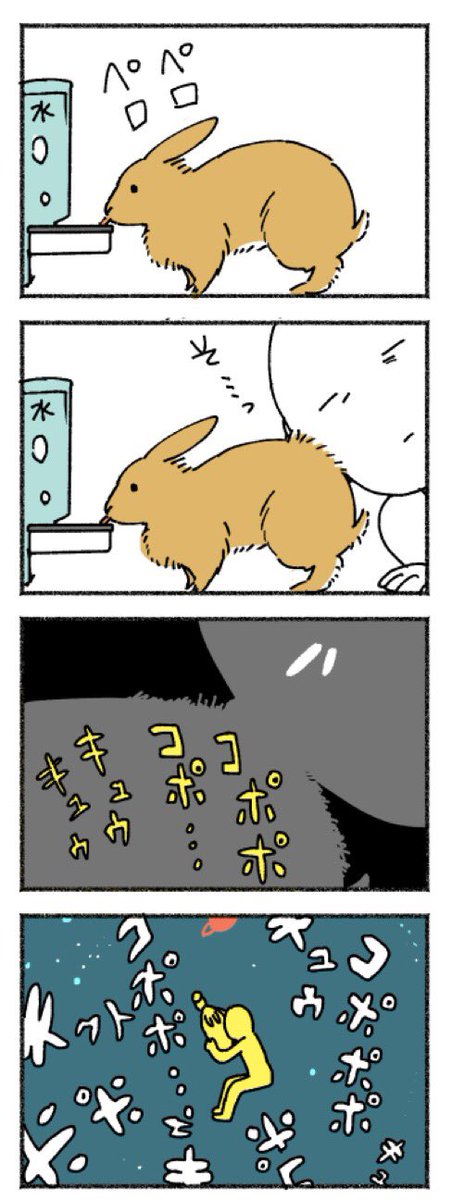 うさぎの音 