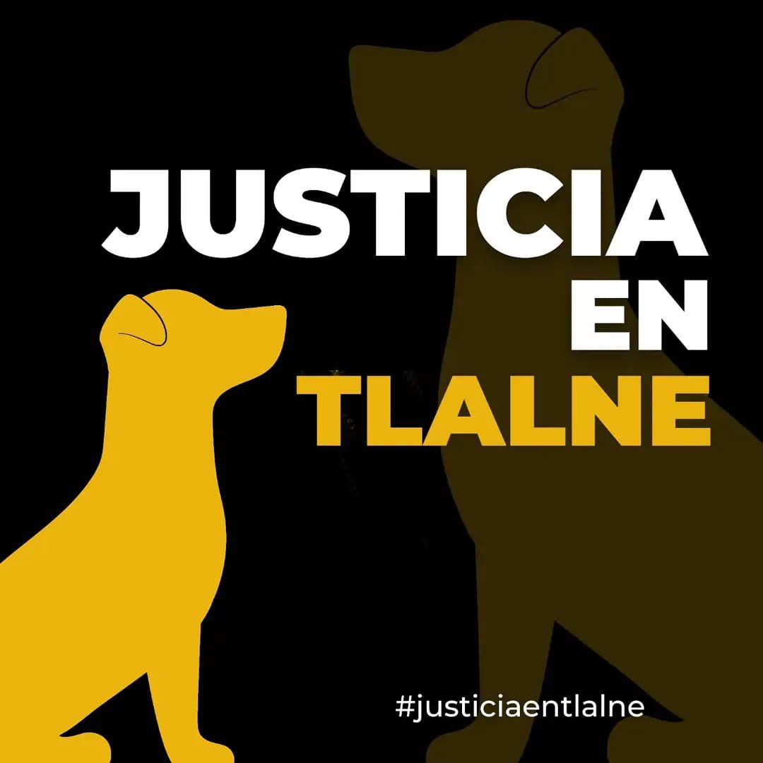 marianaysugato's tweet photo. #JusticiaEnTlalne @FiscaliaEdomex @propaem_sma https://t.co/8MYhg4BJtP