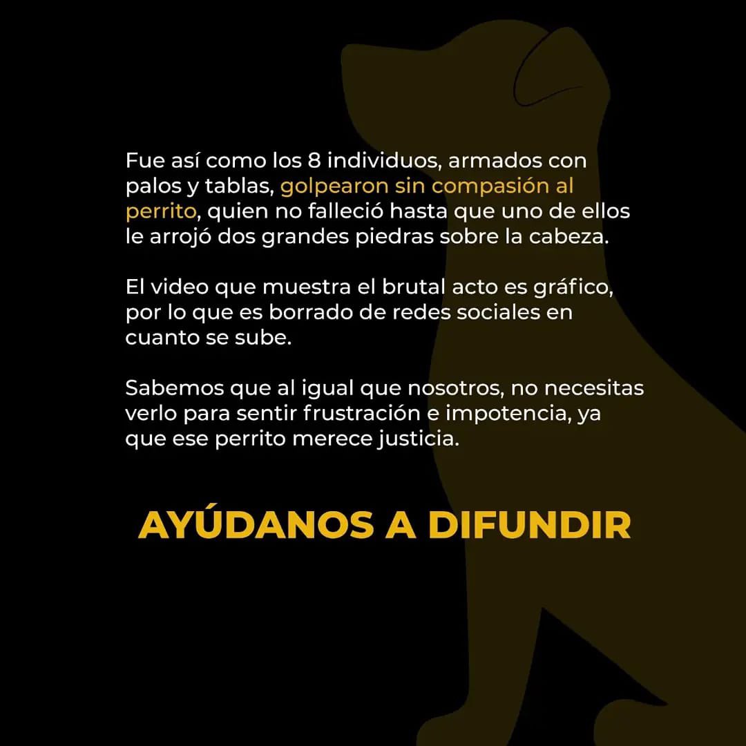 marianaysugato's tweet photo. #JusticiaEnTlalne @FiscaliaEdomex @propaem_sma https://t.co/8MYhg4BJtP