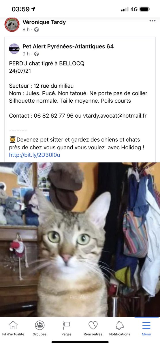 TVetonique's tweet photo. Help Jules s’est échappé à bellocq https://t.co/V6nv0prcop