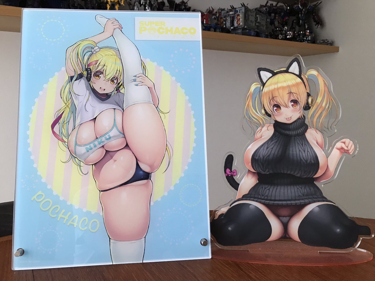 このぽちゃ子。お顔もムチムチ具合も結構いい感じに描けてると思いますのでフックした方はこの機会に是非…!🙏 #すーぱーぽちゃ子 #superpochaco 