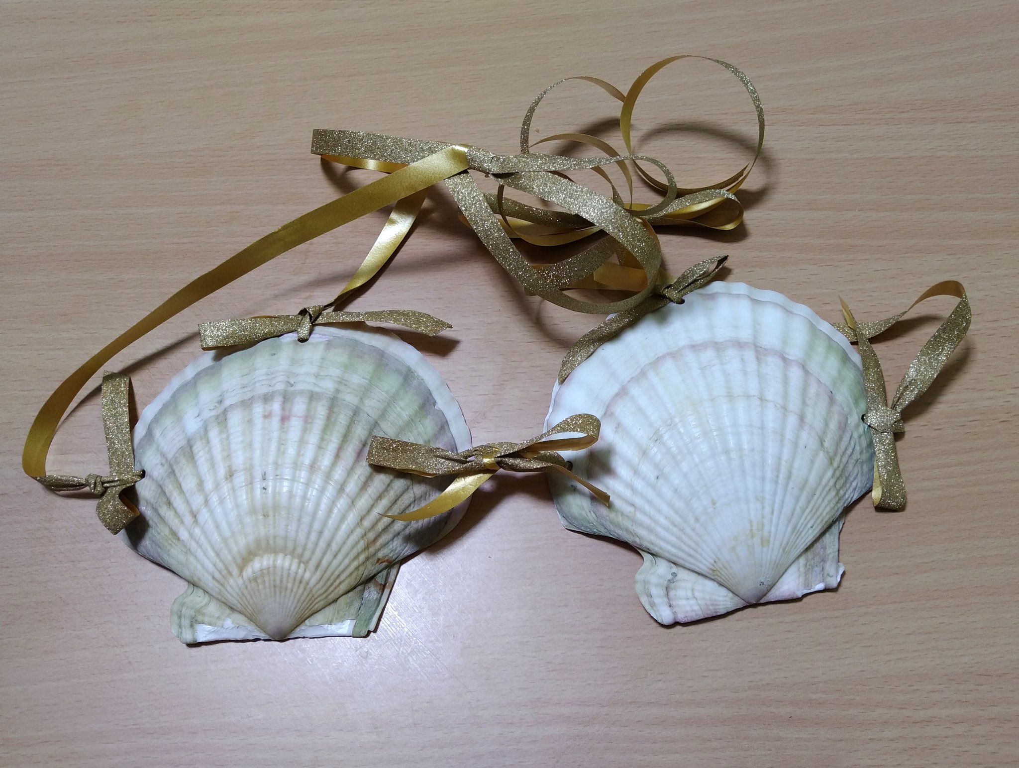 あおもりの肴 野牛産大型ホタテの貝殻で ほたてブラ作ってみた 穴あけ で欠けたりとか加工がなかなか難しいから これは自作よりも買った方がいいかも わいのサイズ感で作ったけど 使用予定はない ほたてブラ 阿部商店 T Co S6fqlzmmog