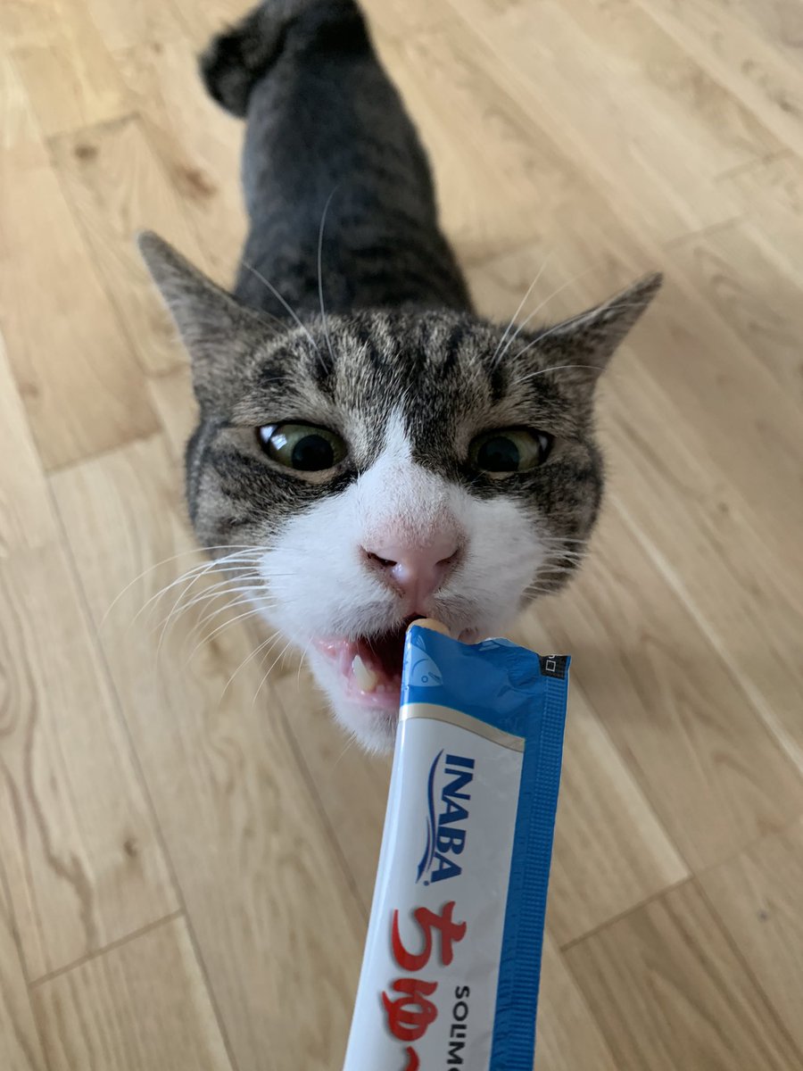 Kanzakiuro の画像 動画一覧 Whotwi グラフィカルtwitter分析