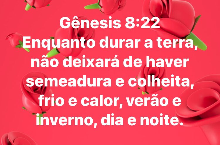 Helena_Linhares's tweet photo. Boa noite 🌙 https://t.co/7Yg3Lk6h0i