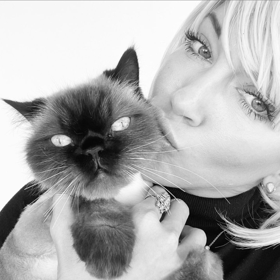 Katie Cassidy (@mzkatiecassidy) on Twitter photo Coop! Coop!