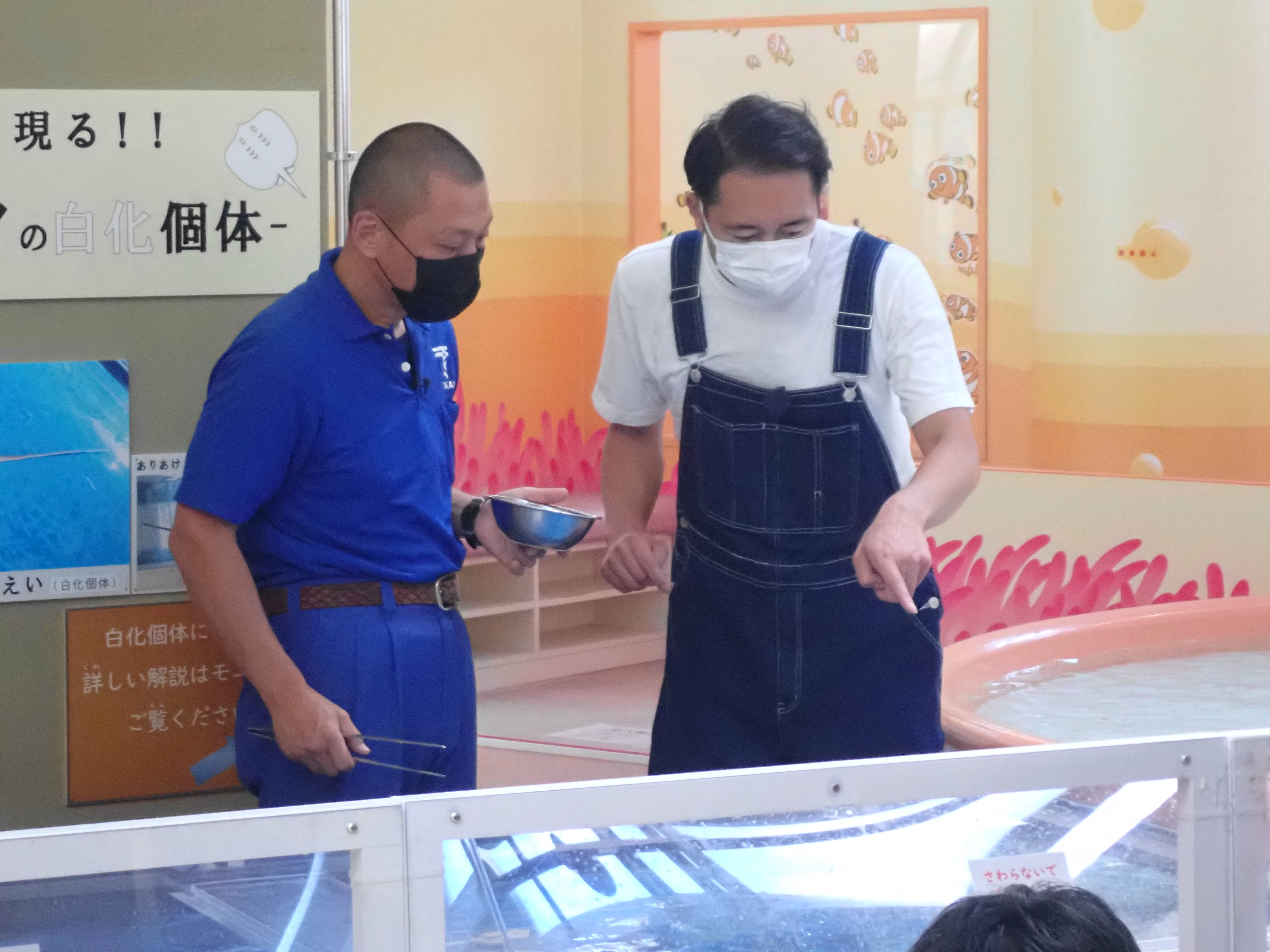東海大学海洋科学博物館 自然史博物館 Muse Tokai Twitter