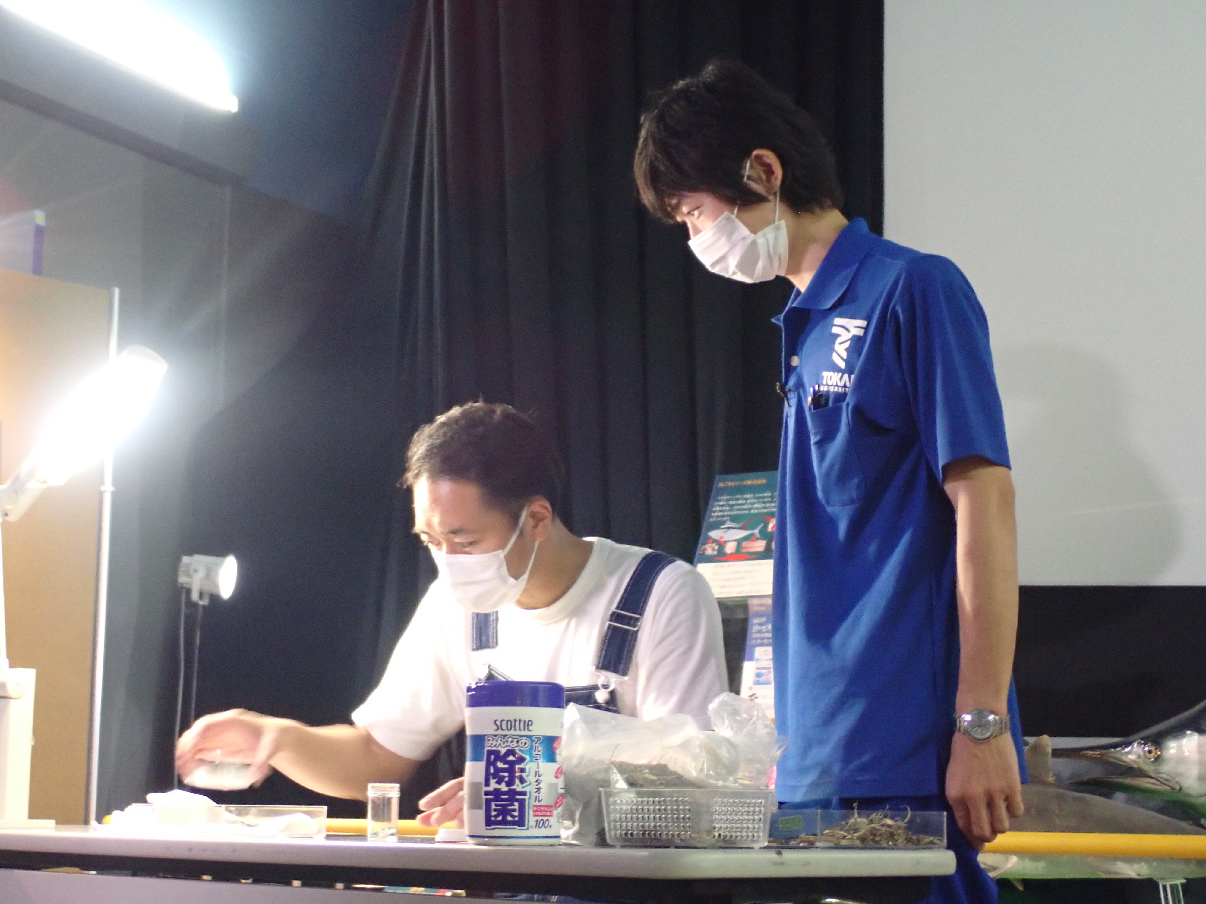 東海大学海洋科学博物館 自然史博物館 Muse Tokai Twitter